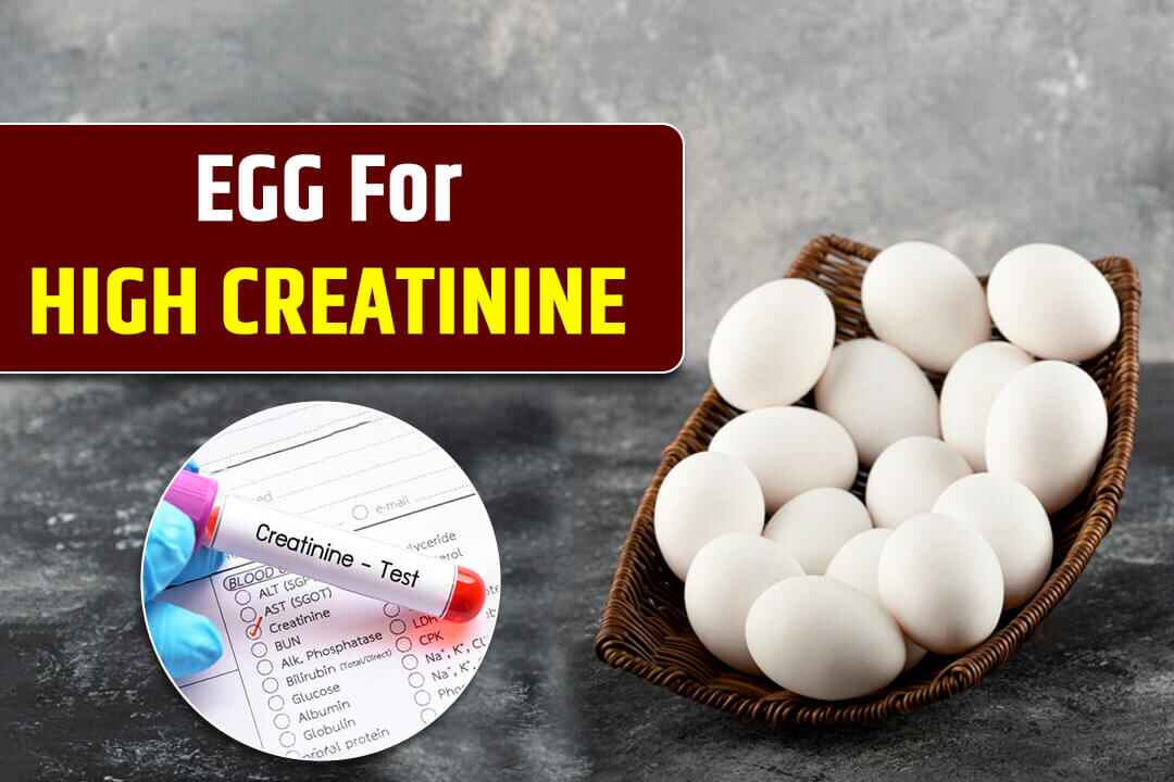 Egg For High Creatinine